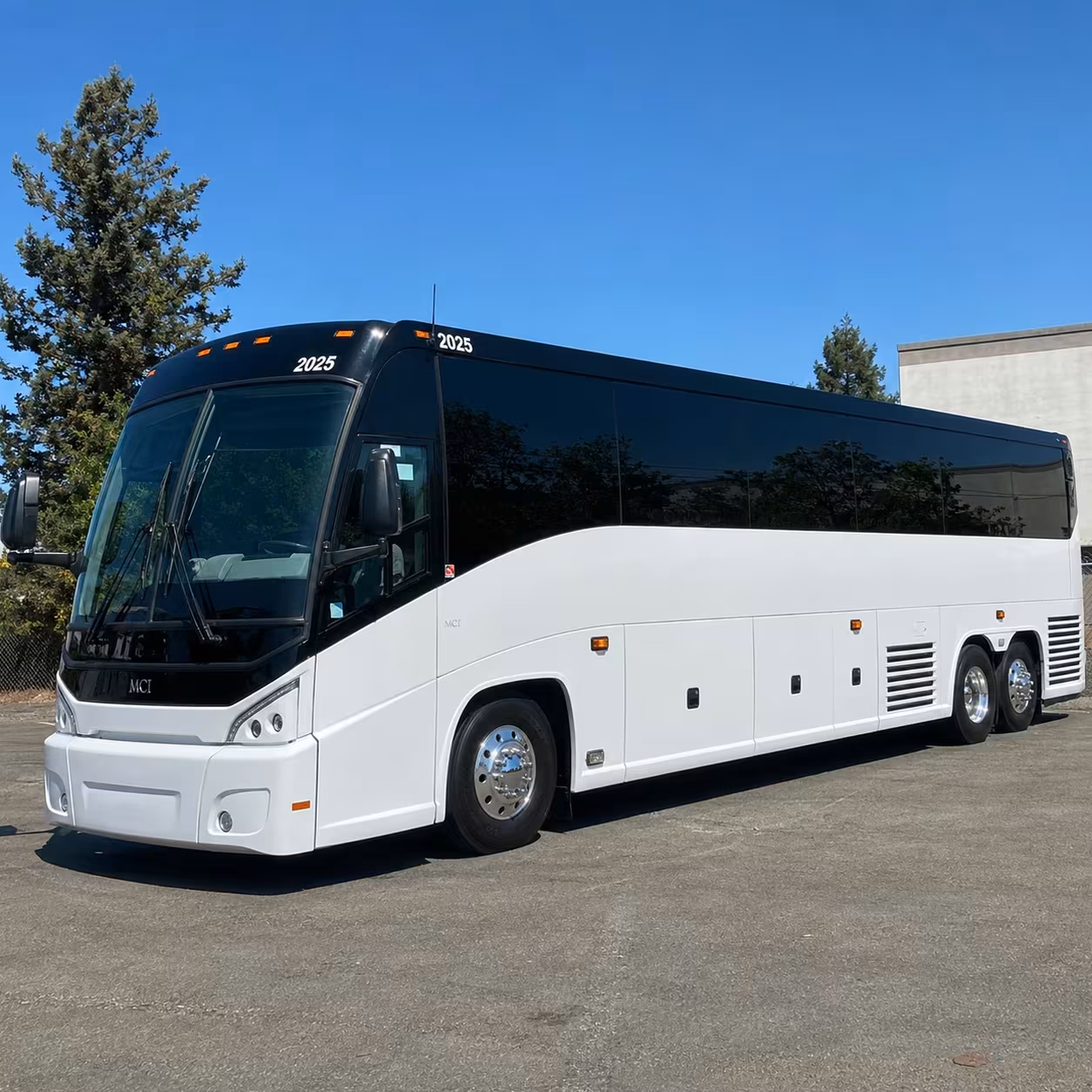 jackson 56 passenger charter bus rental