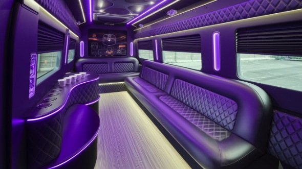 jackson sprinter limo rental interior