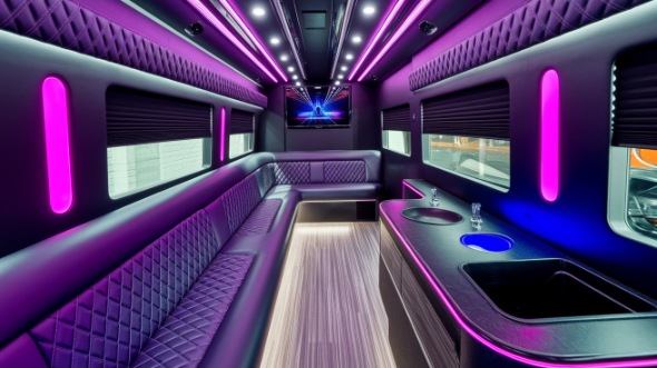 jackson sprinter limo rental rental